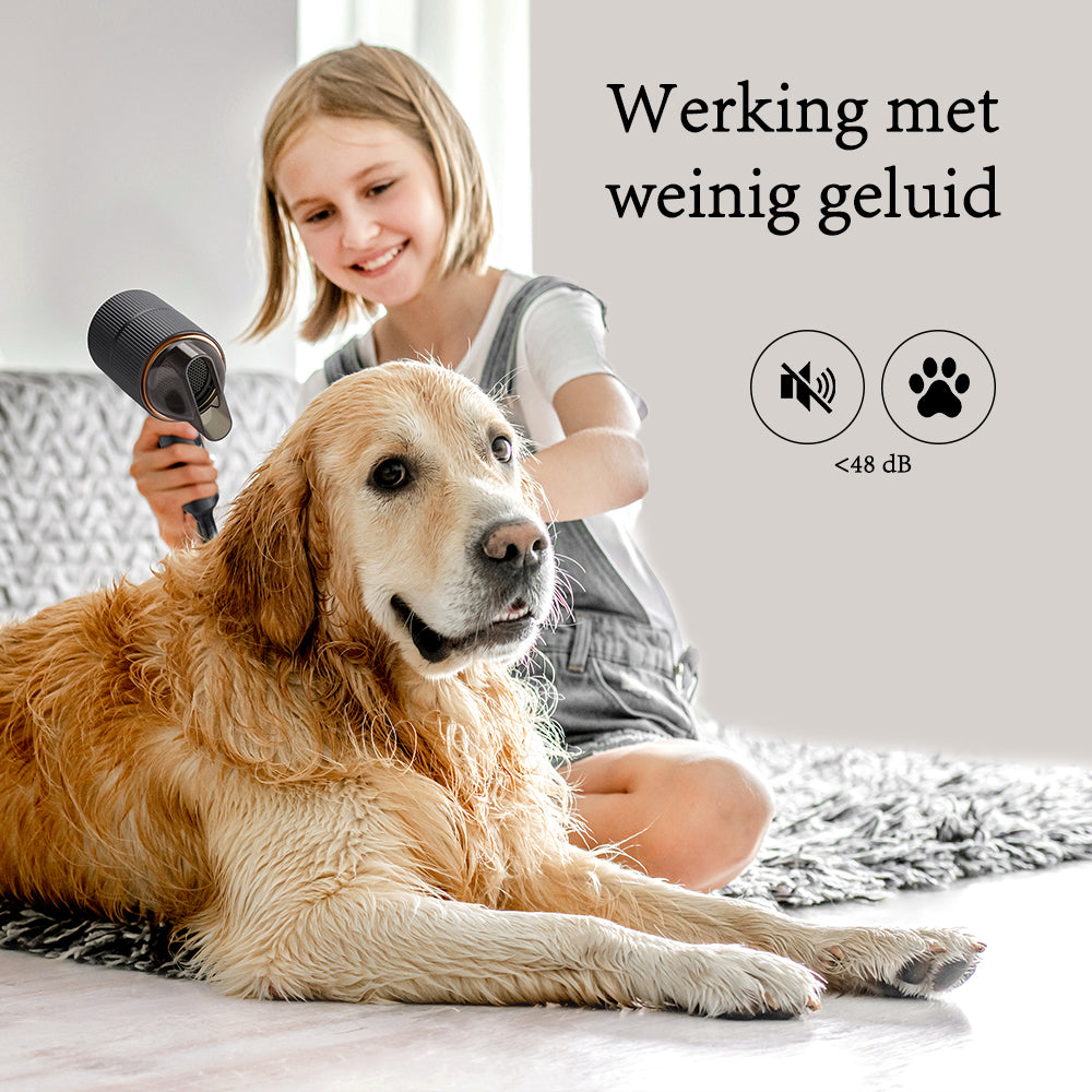 Qimmaol Velofold professionele ionische haardroger met concentrator en diffuser [Ultralicht / Handpalmformaat / Opvouwbaar / 250 g]